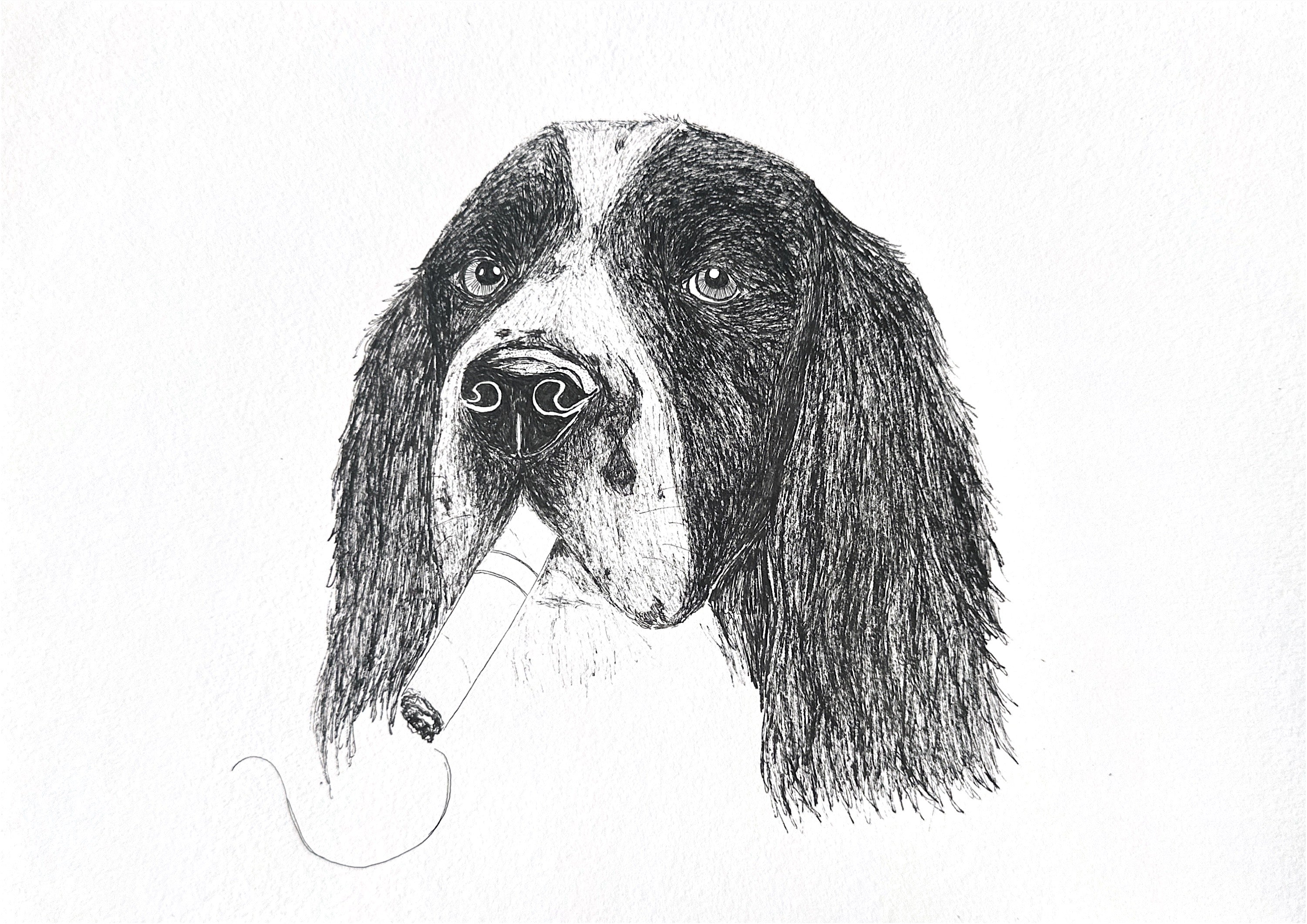 Ink Portrait