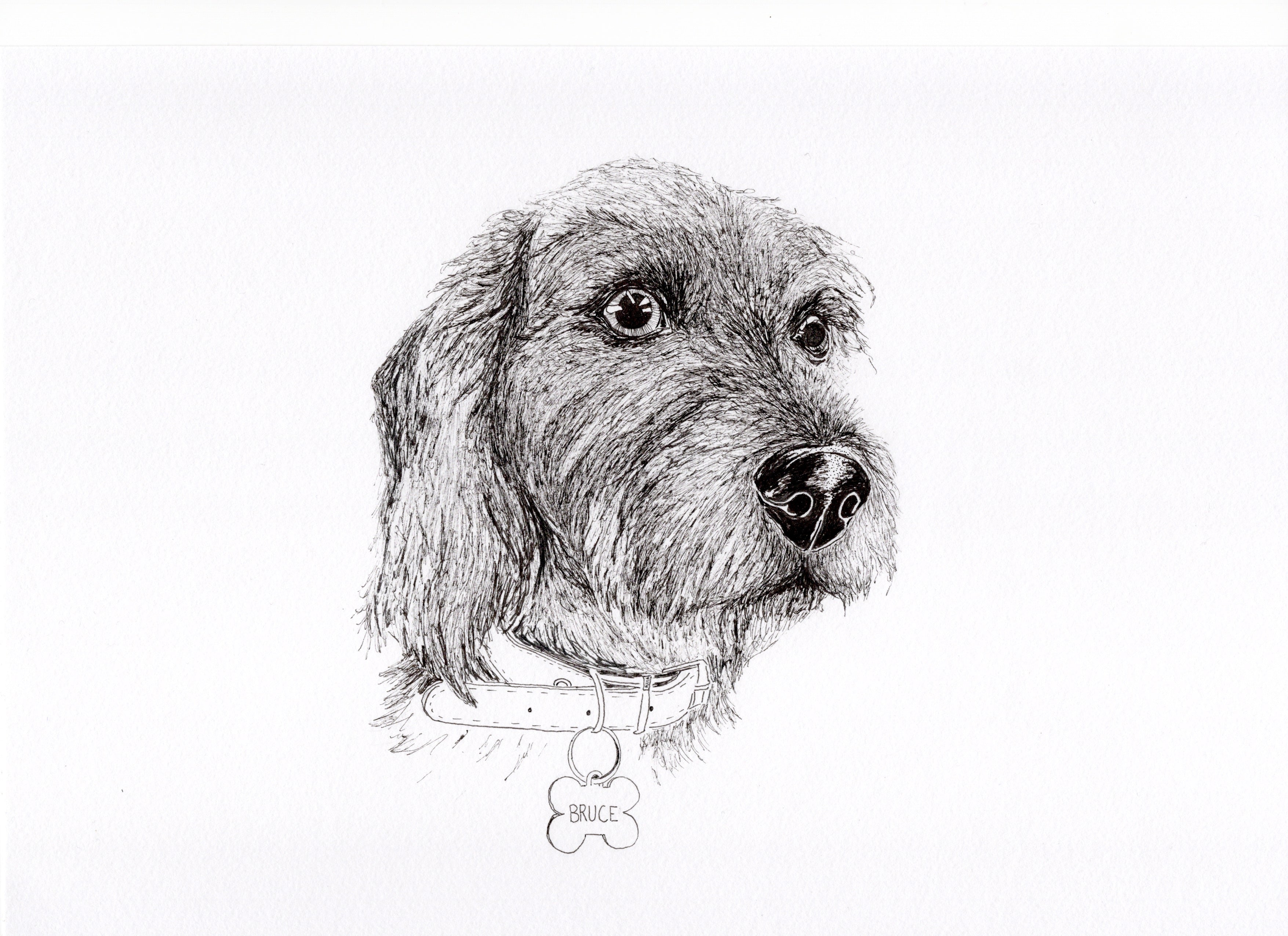 Ink Portrait