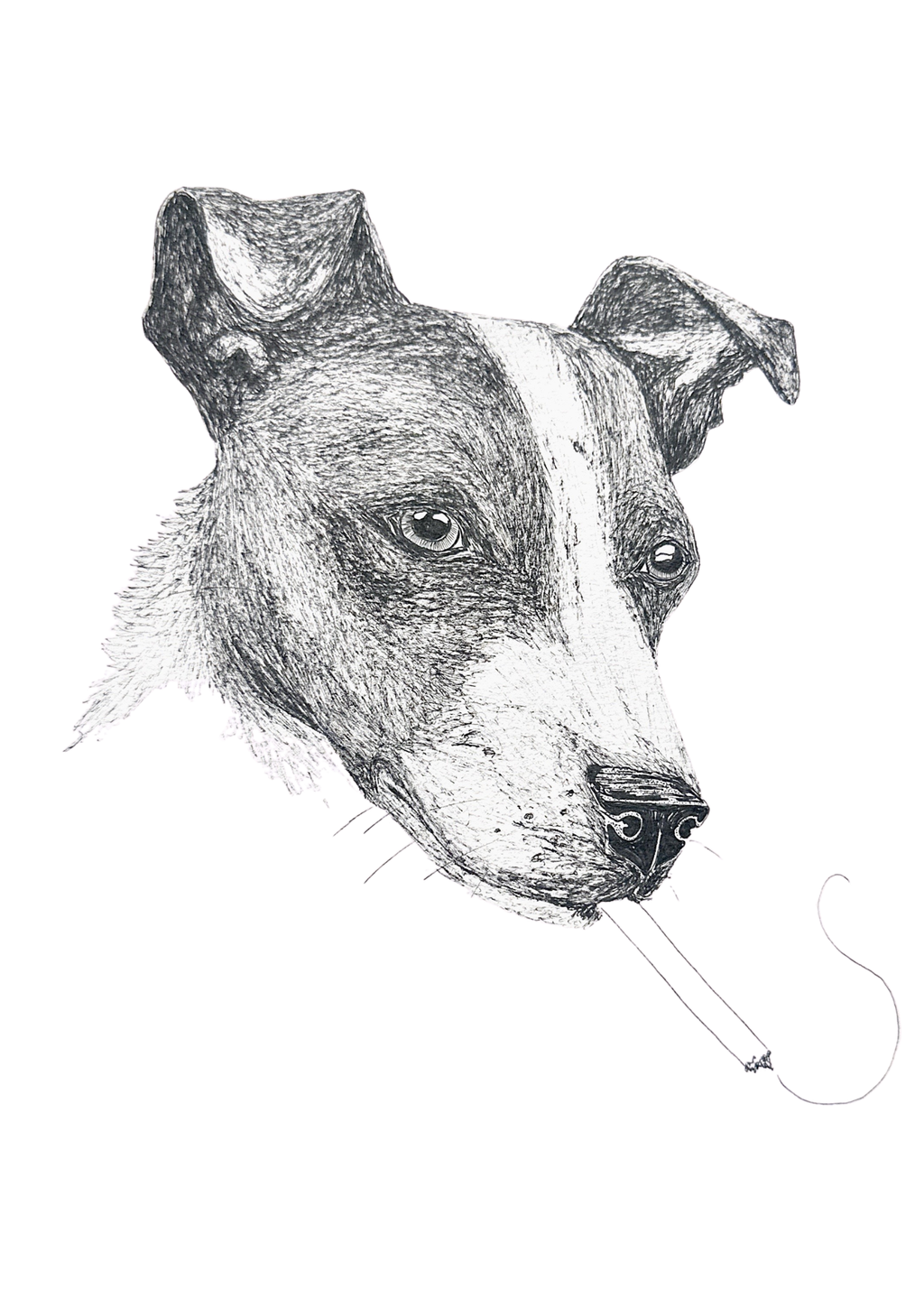 Ink Portrait
